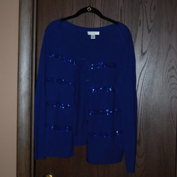 Christopher & Banks Sapphire Blue, Sequin Stripe Sweater - PXL - Picture 1 of 10